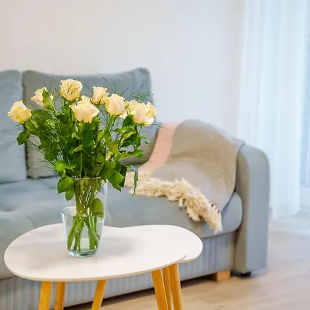 شقة Apartament 21